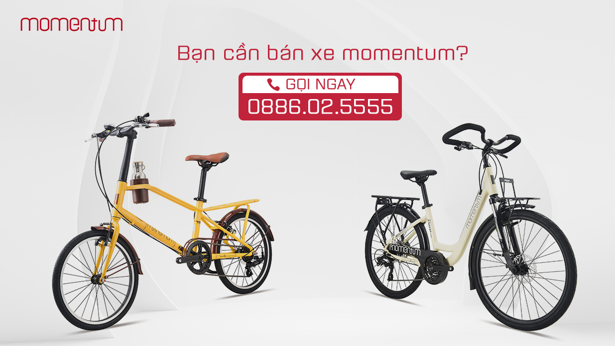 Thu xe đạp momentum giá cao