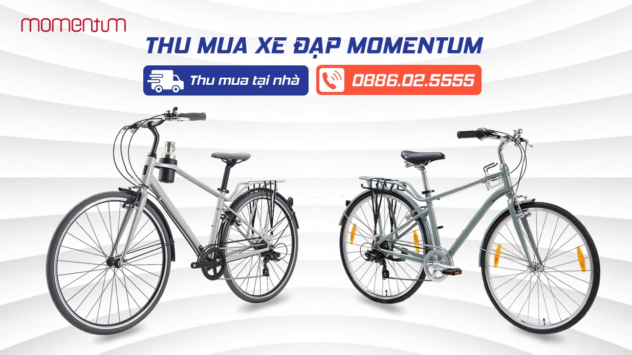 Thu mua xe đạp momentum