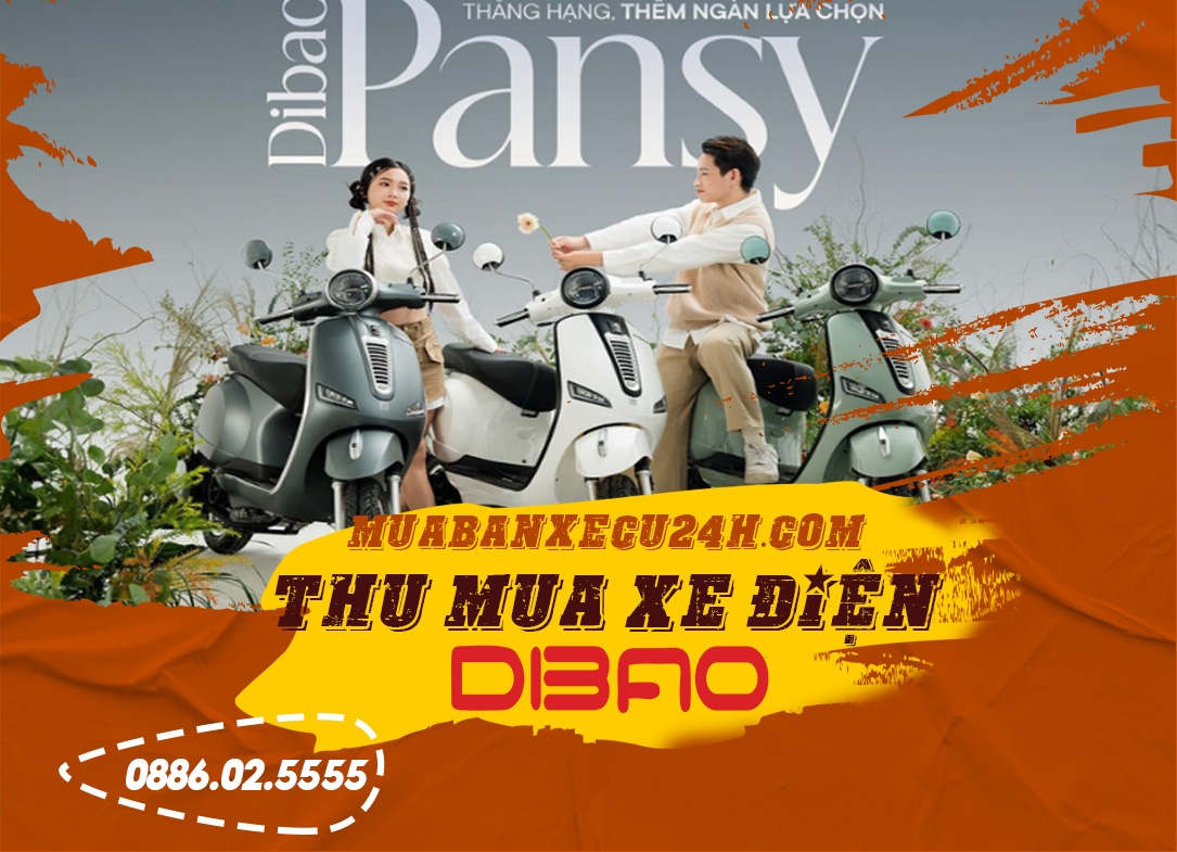 Thu mua xe điện Dibao