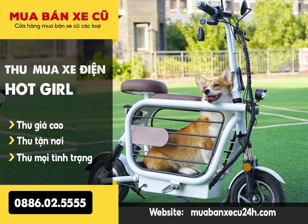 Thu mua xe điện Hotgirl